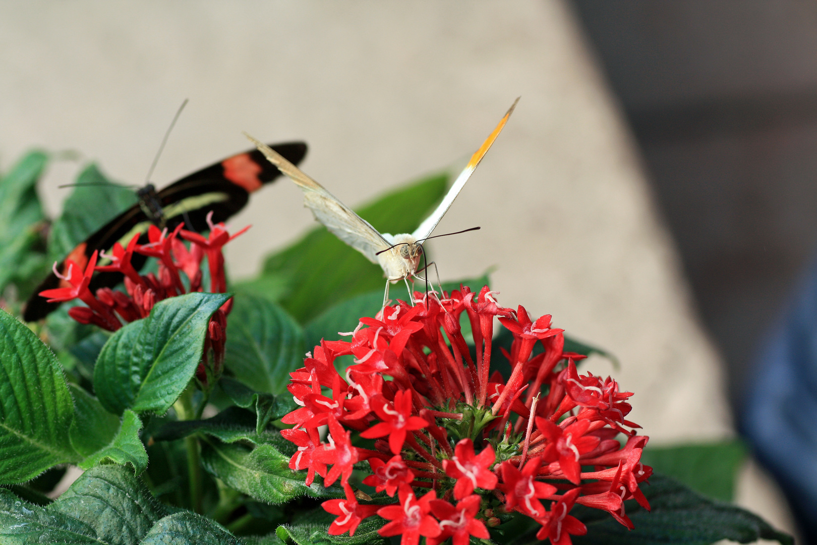 ausflug mit makro 5