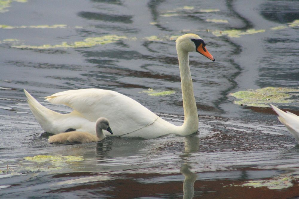 Ausflug mit Mama...