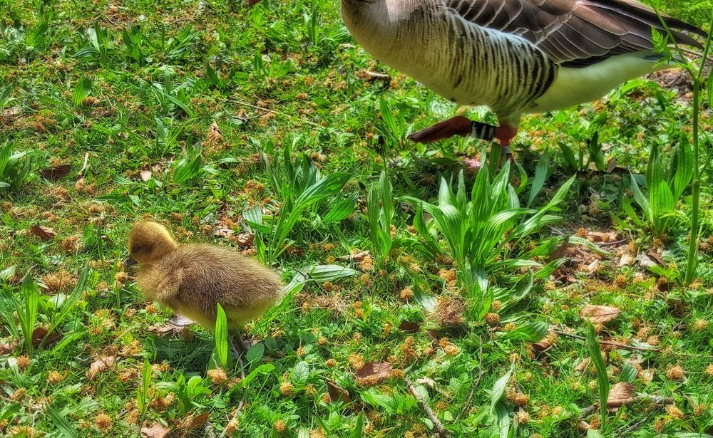 Ausflug mit Mama