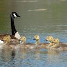 Ausflug mit Mama....