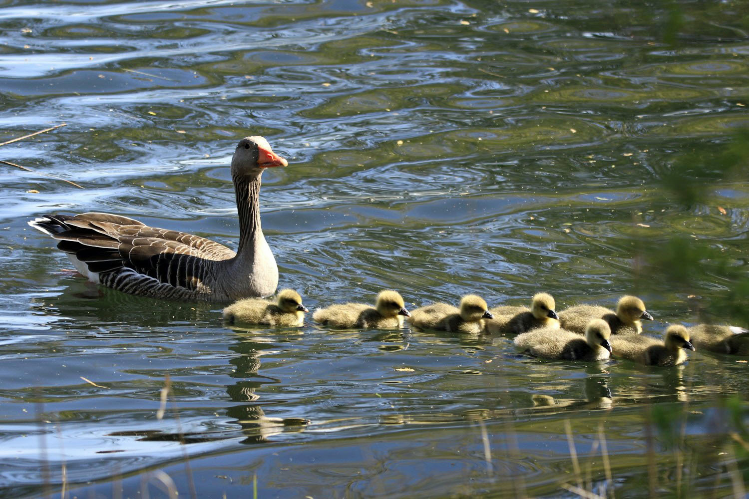 Ausflug mit Mama