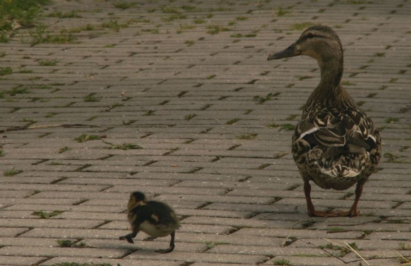 Ausflug mit Mama