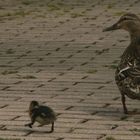 Ausflug mit Mama