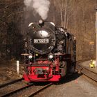 Ausflug nach Eisfelder Talmühle 5.