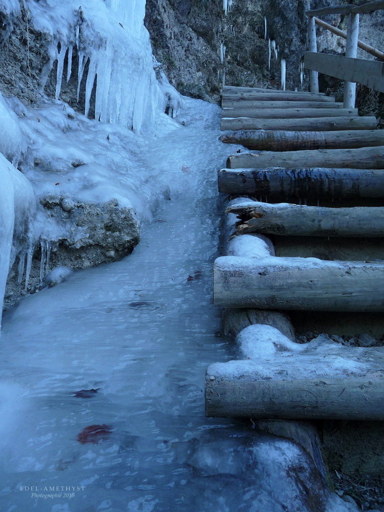 "Ausflug Nach Hinang 8 - Hounds Of Winter"