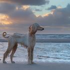 Ausflug nach Sankt Peter-Ording