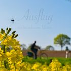 Ausflug nur bei schönem Wetter