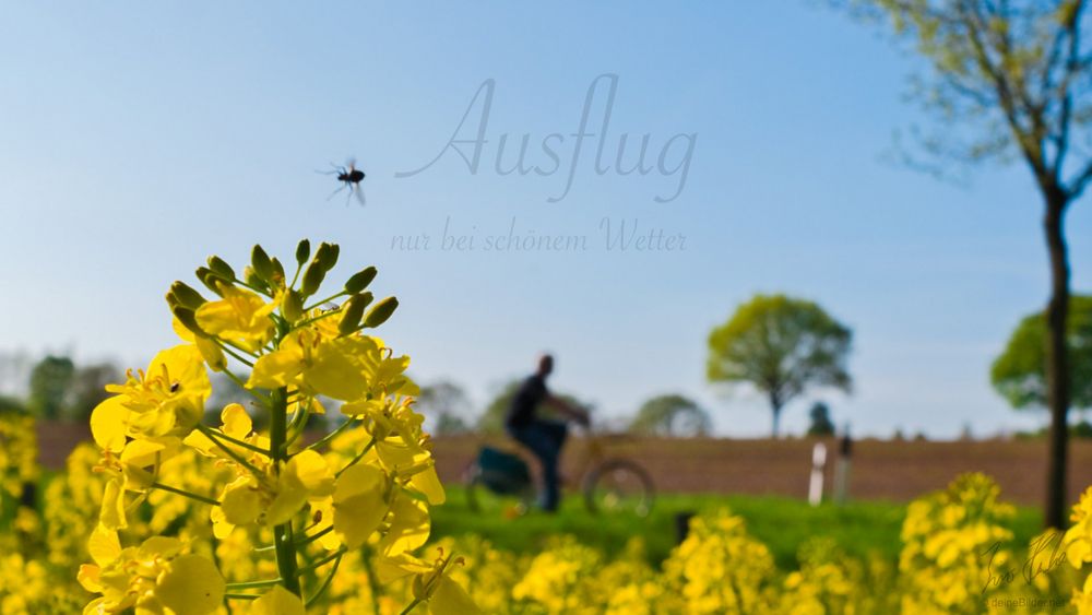 Ausflug nur bei schönem Wetter Foto & Bild portfolio, frühling, natur Bilder auf
