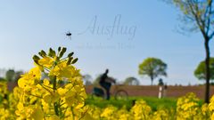 Ausflug nur bei schönem Wetter