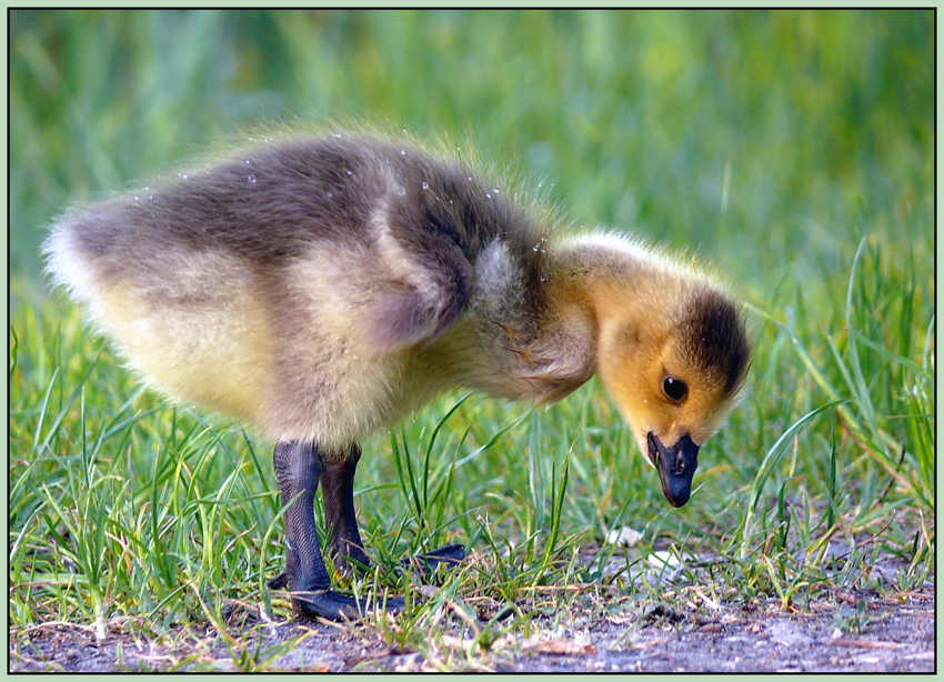 Ausflug ohne Familie.....