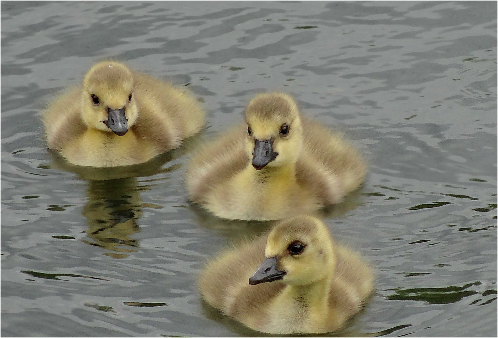 Ausflug ohne Mama.....