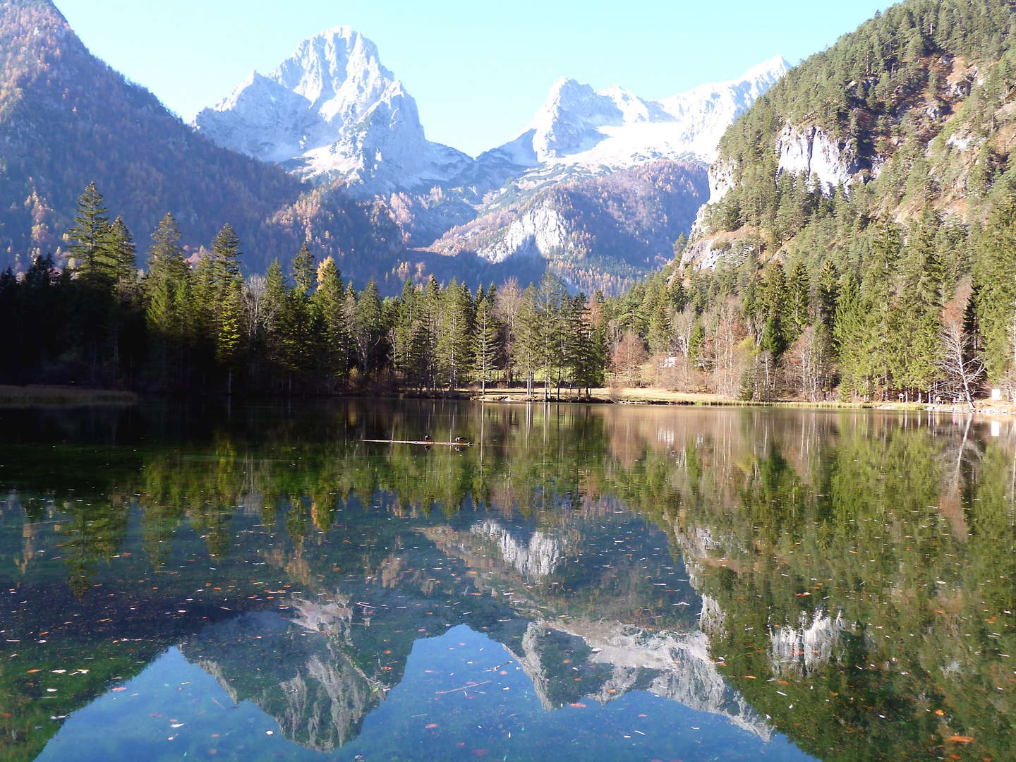 Ausflug Schieder Weiher 6.11.15 00017 