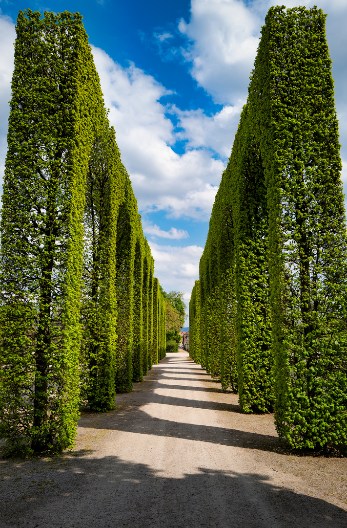 Ausflug Schloss Schwetzingen no.4