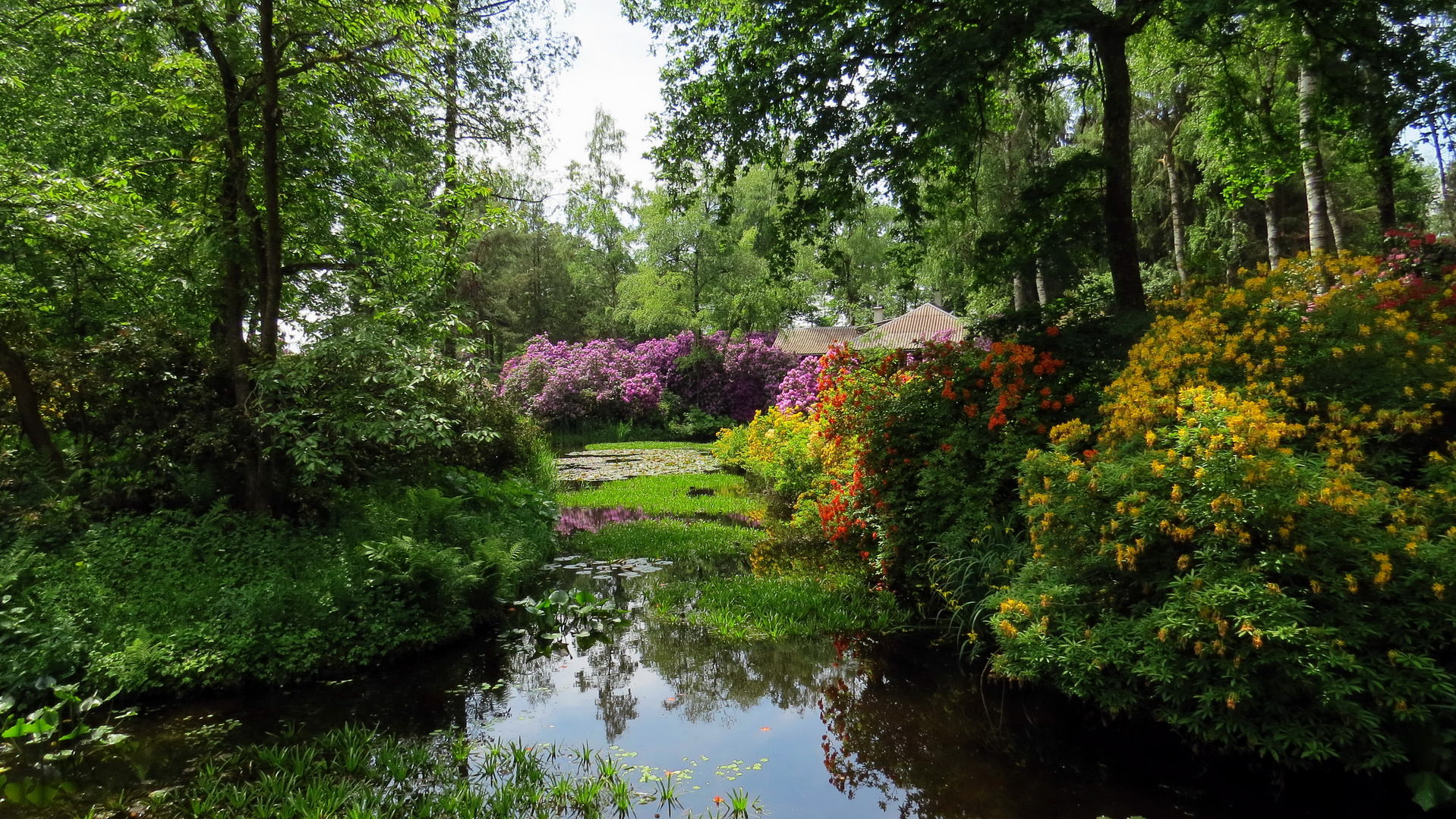 Ausflug Seleger Moor 