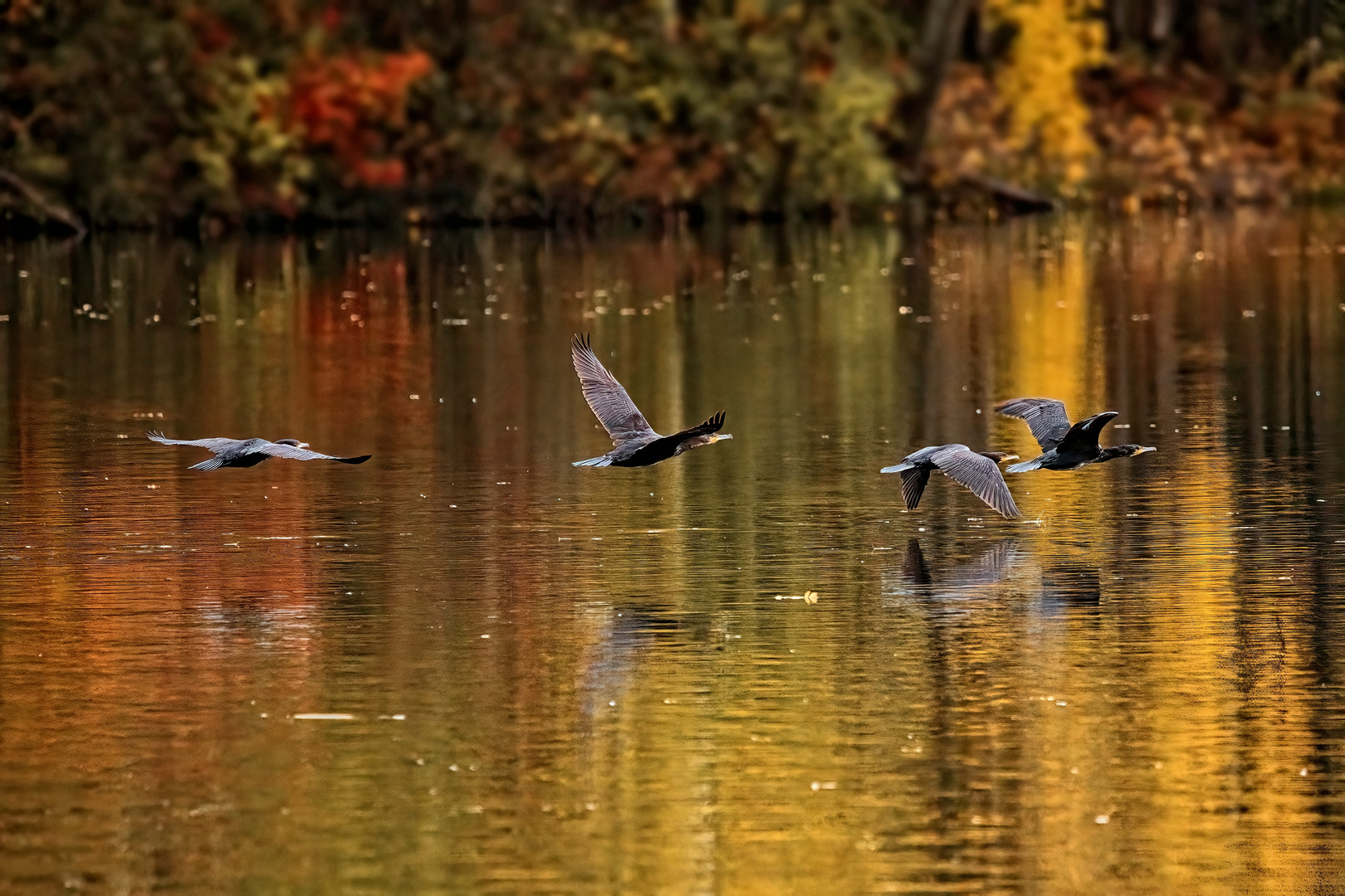 Ausflug über den See