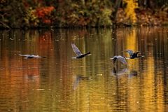 Ausflug über den See