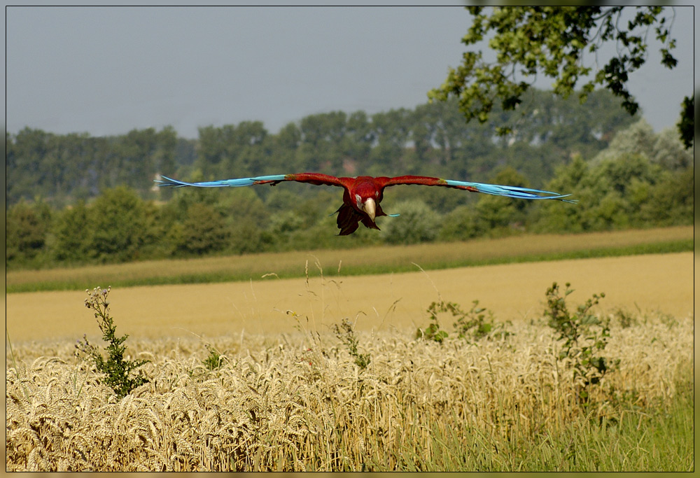 Ausflug über die Felder