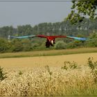 Ausflug über die Felder