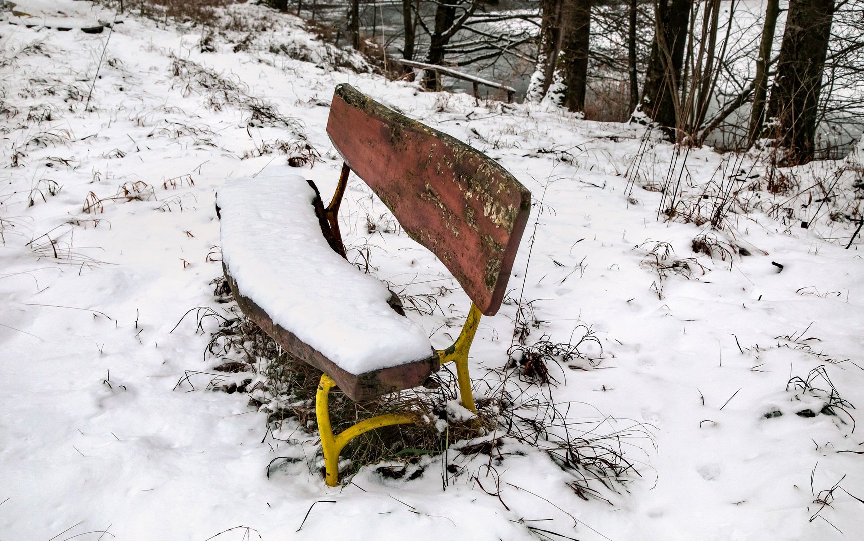 Ausflug zu den Greither Fischteichen (11)