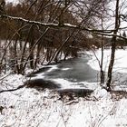 Ausflug zu den Greither Fischteichen (13)