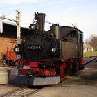 Ausflug zu den Halloweenfahrten der Döllnitzbahn 6.