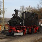 Ausflug zu den Halloweenfahrten der Döllnitzbahn 7.