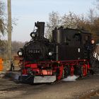 Ausflug zu den Halloweenfahrten der Döllnitzbahn 8.