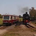 Ausflug zum Fahrwochenende bei der Döllnitzbahn 7.