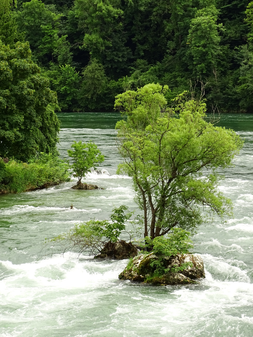 Ausflug zum größten Wasserfall Europas