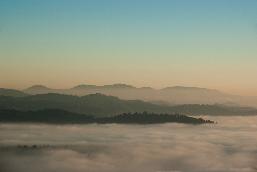 Ausflug zum Hohen Horn in Offenburg / 30.12.16 / Blick Brandenkopf