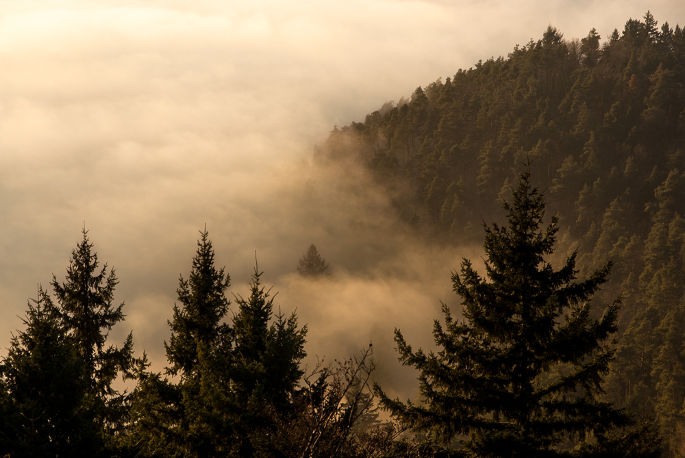 Ausflug zum Hohen Horn in Offenburg / 30.12.16 / Blick Ortenberg