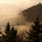 Ausflug zum Hohen Horn in Offenburg / 30.12.16 / Blick Ortenberg