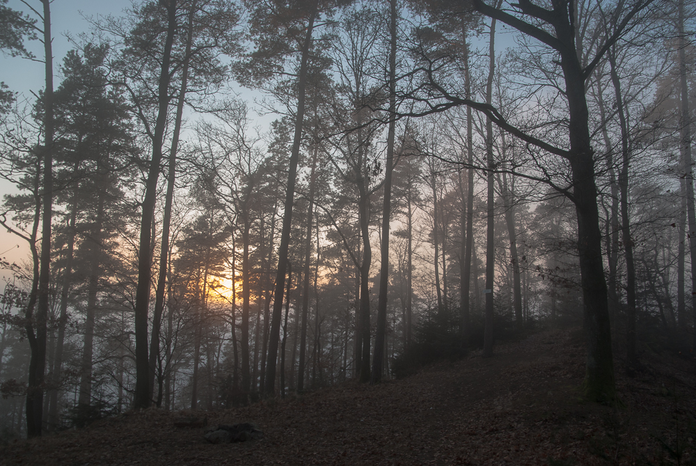 Ausflug zum Hohen Horn in Offenburg / 30.12.16 / Köpfe im Nebel