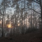 Ausflug zum Hohen Horn in Offenburg / 30.12.16 / Köpfe im Nebel