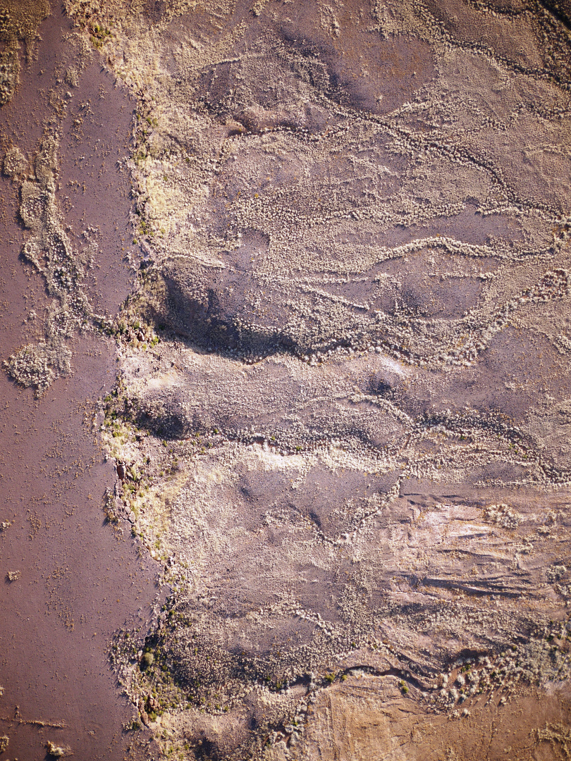 Ausflug zum Mars