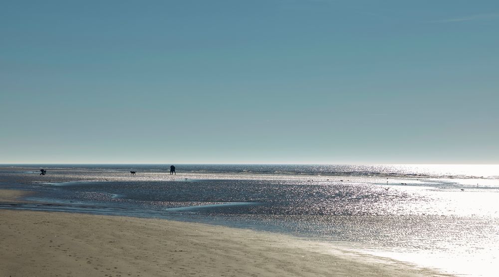 Ausflug zum Meer