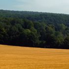 "Ausflug zum Schloss Mochental Ehingen 33"