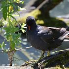 Ausflug zum Teich