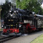 Ausflug zur 16. Historik Mobil im Zittauer Gebirge 2.