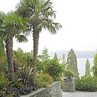 Ausflug zur Insel Mainau