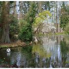 Ausflug zur Museumsinsel Hombroich