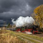 Ausflug zur Schiefen Ebene mit 01 202 und 01 150