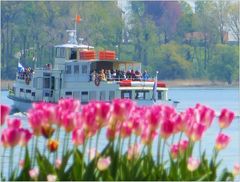 Ausflugsboot auf dem Chiemsee