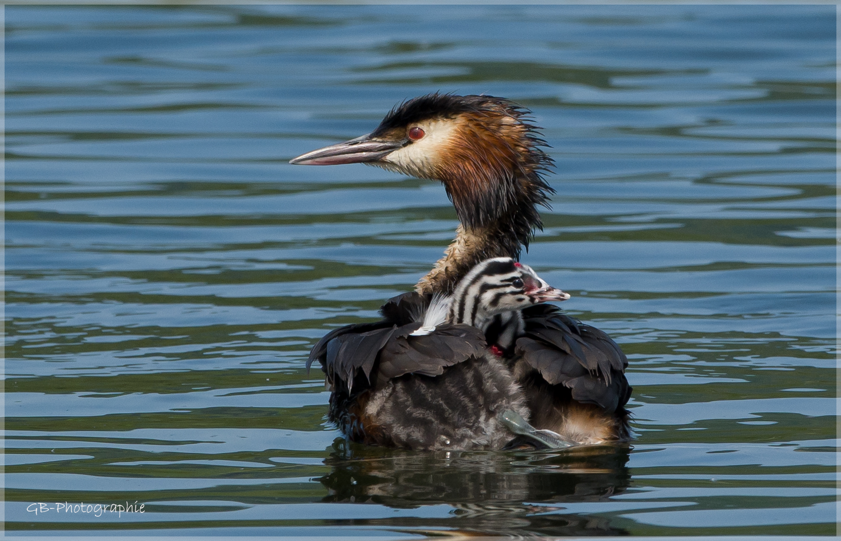 Ausflugsdampfer