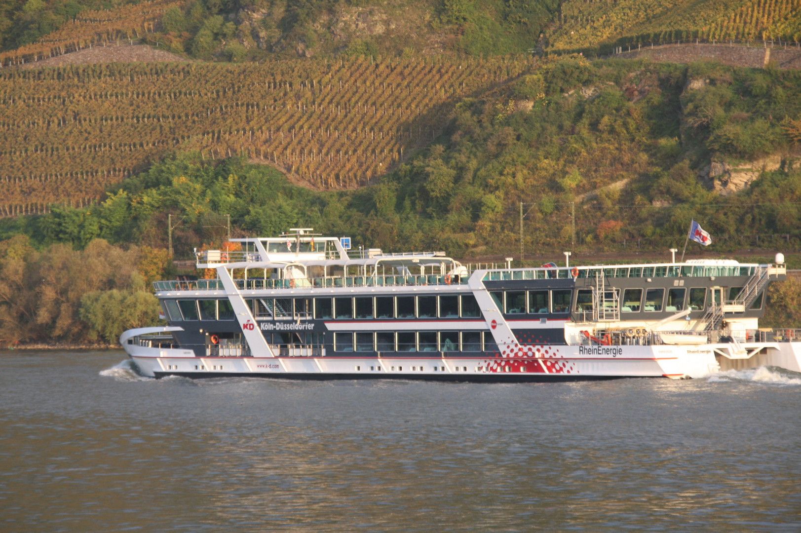 Ausflugsdampfer auf dem Rhein