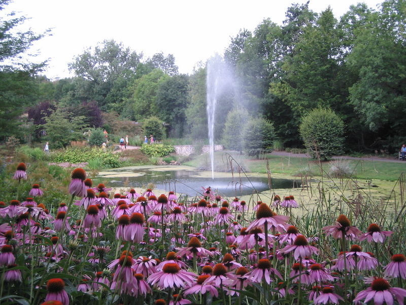 Ausflugsziel Monteverde in Holland