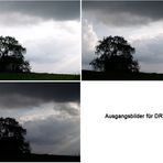 Ausgangsbilder