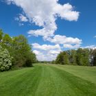 Ausgangssperre - und die Natur erholt sich!