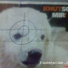 Ausge-knut-scht