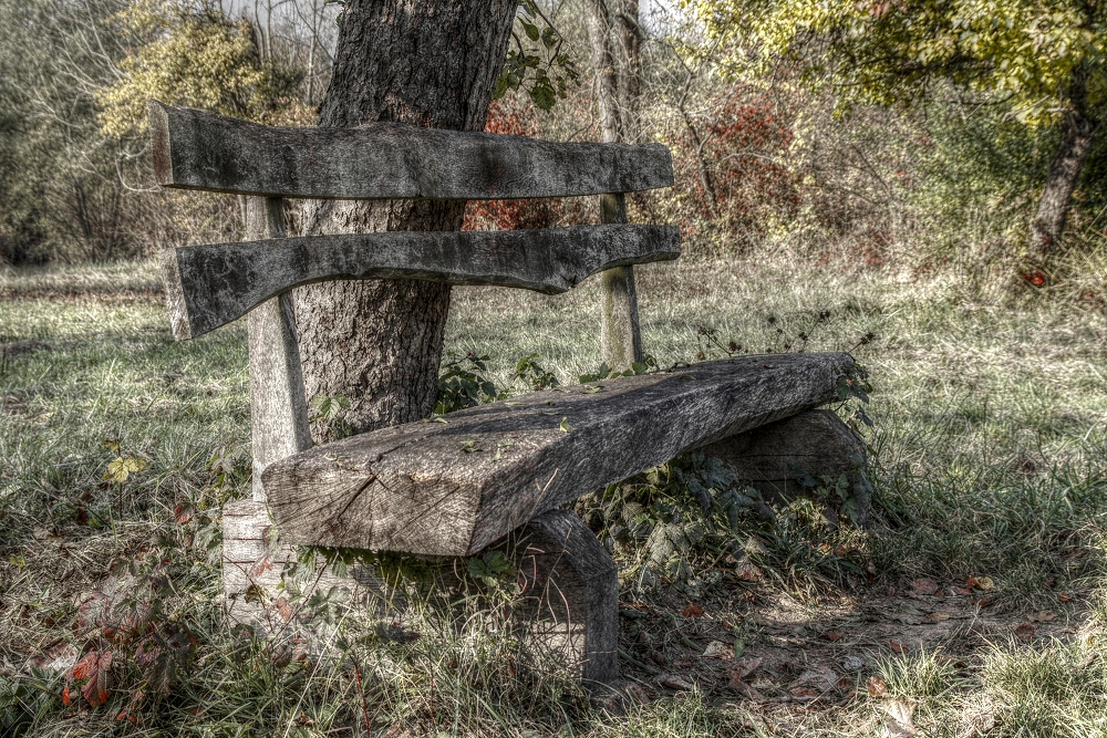 ausgebleichtes Holz